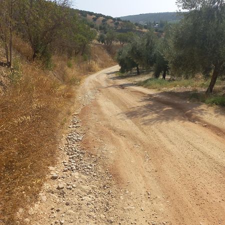Alojamiento Rural El Yate Villa Montefrío Esterno foto