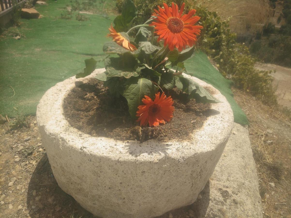 Alojamiento Rural El Yate Villa Montefrío Esterno foto